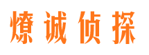 灵台市调查公司